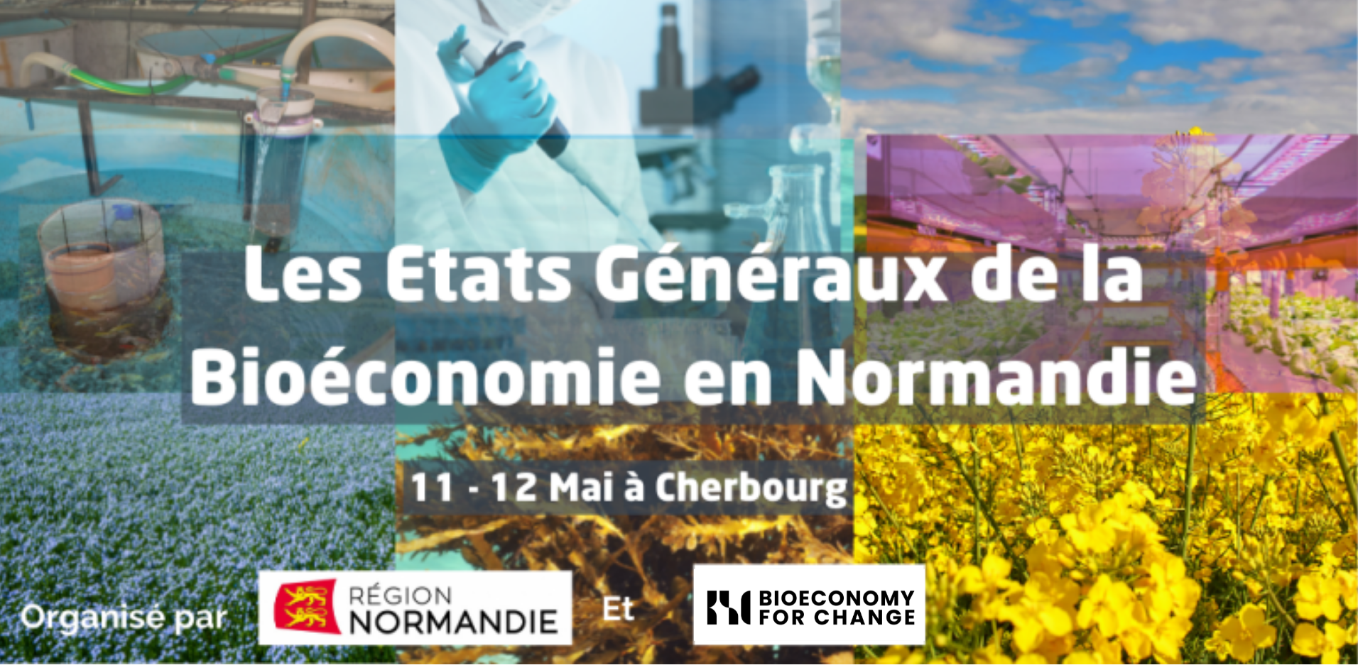 Participez aux Etats Généraux de la Bioéconomie en Normandie !